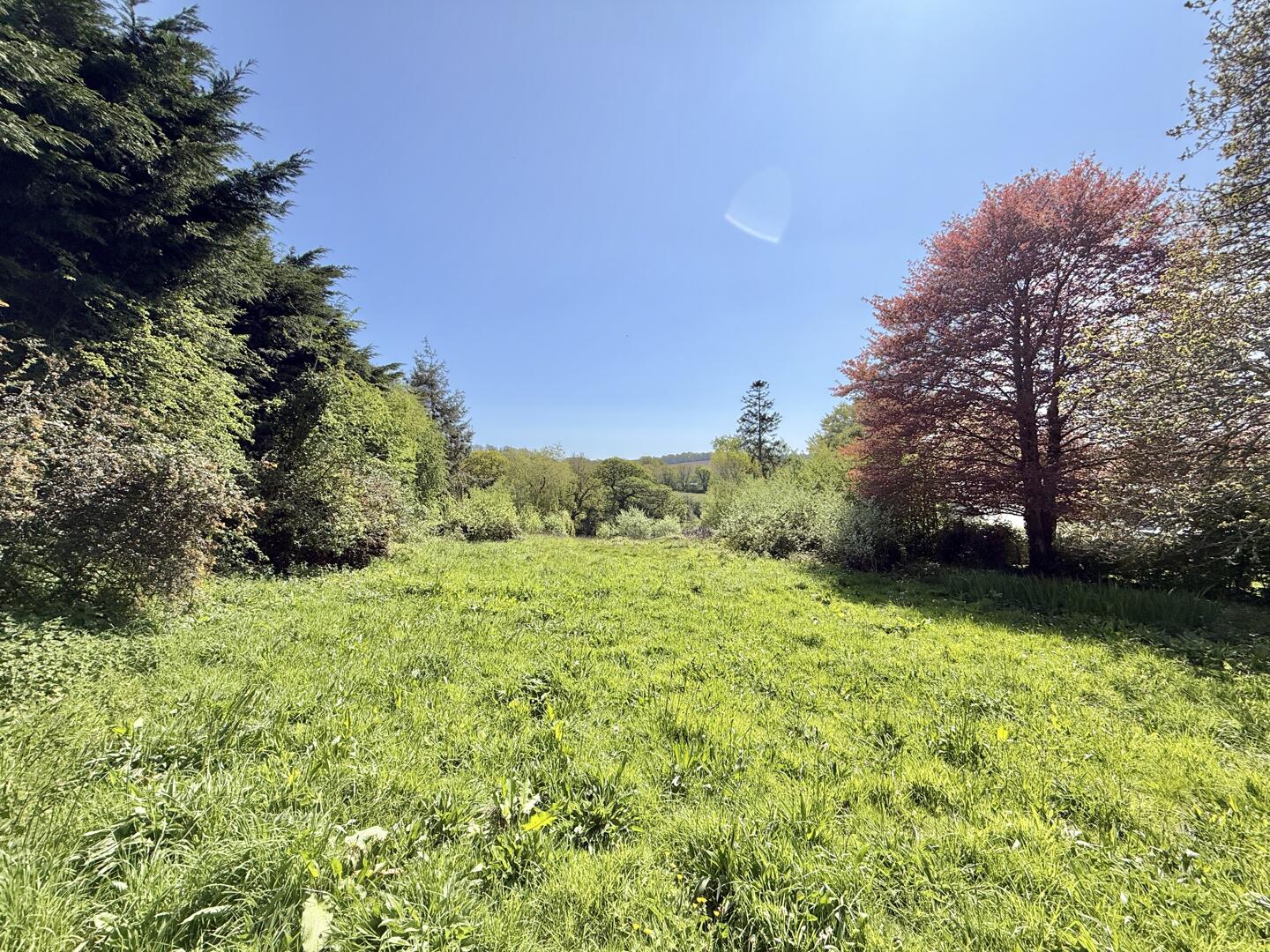 Old Carnon Hill, Carnon Downs, Truro